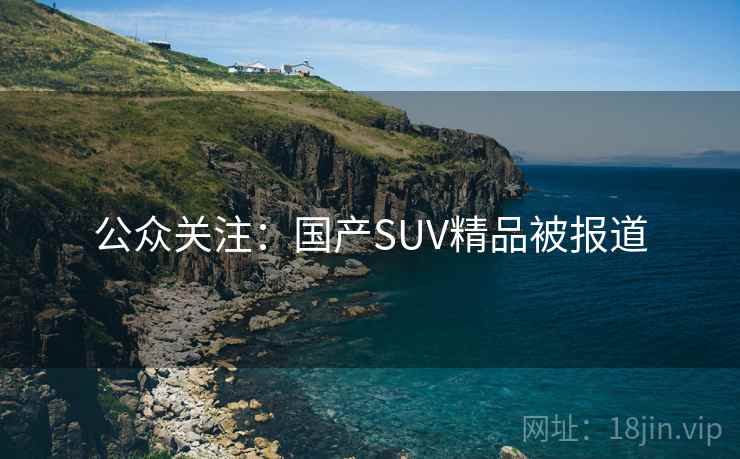 公众关注:国产SUV精品被报道 第1张 公众关注:国产SUV精品被报道 第1张
